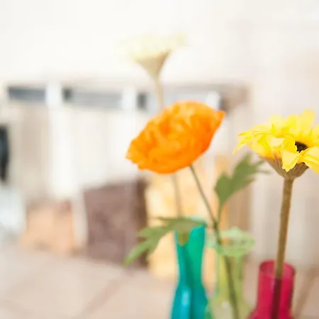 Old Town Bed and Breakfast 3*