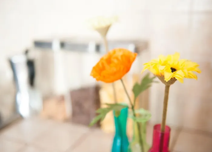 Old Town 住宿加早餐酒店 3*